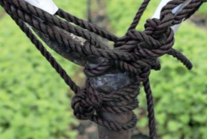 Cuerdas y sogas.com -Cuerda Agricola Polipropileno negra
